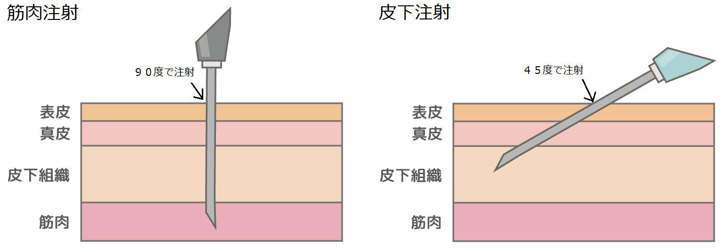 安全なワクチン接種の為に 日本医学臨床検査研究所