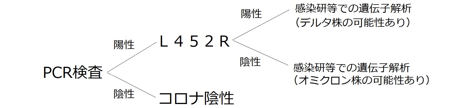 新型コロナウイルス変異株とは 日本医学臨床検査研究所