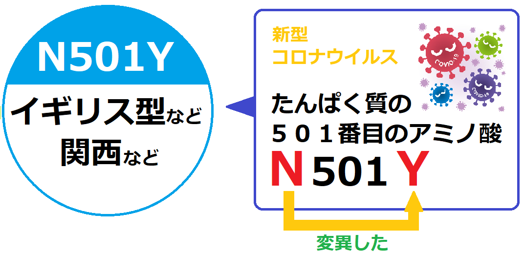 新型コロナウイルス変異株とは 日本医学臨床検査研究所