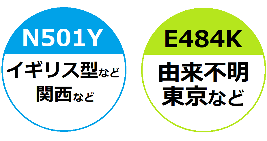 新型コロナウイルス変異株とは 日本医学臨床検査研究所