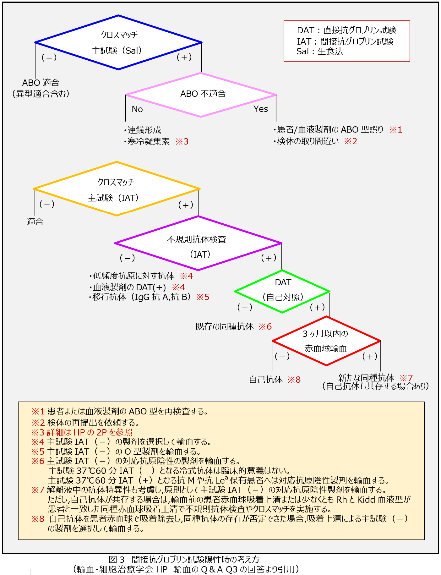 交差適合試験 クロスマッチ 日本医学臨床検査研究所